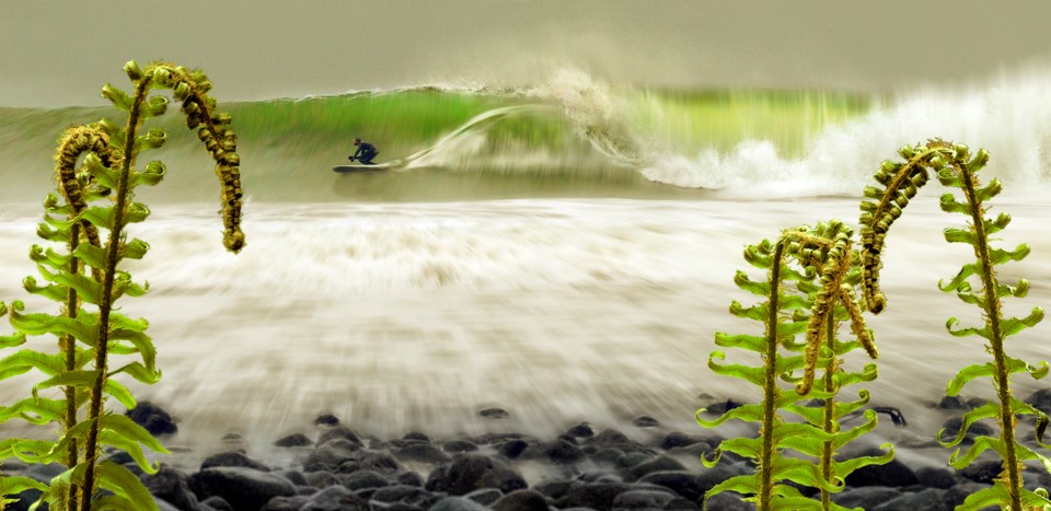 Clare Hodgetts_ThroughTheFerns_web