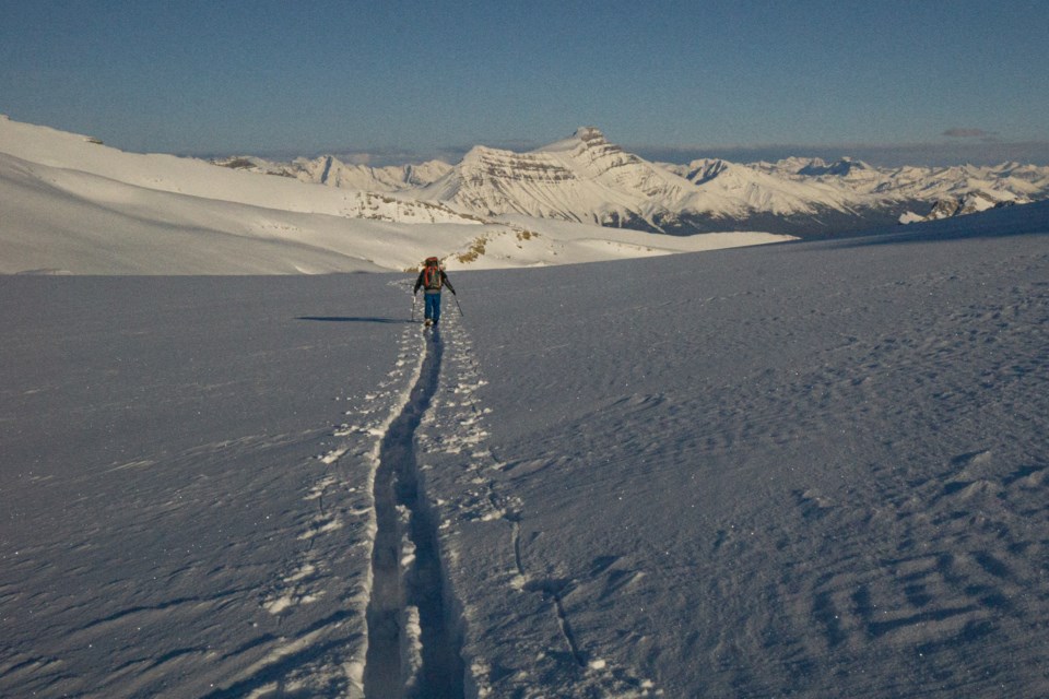 4 John McIsaac skis across Vulture Glacier en route to balfour Hut on the Wapta Icefields.