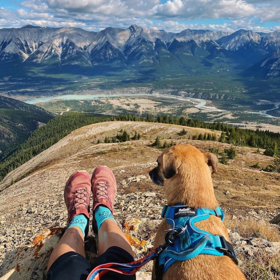 Rocky Mountain Dog Photo