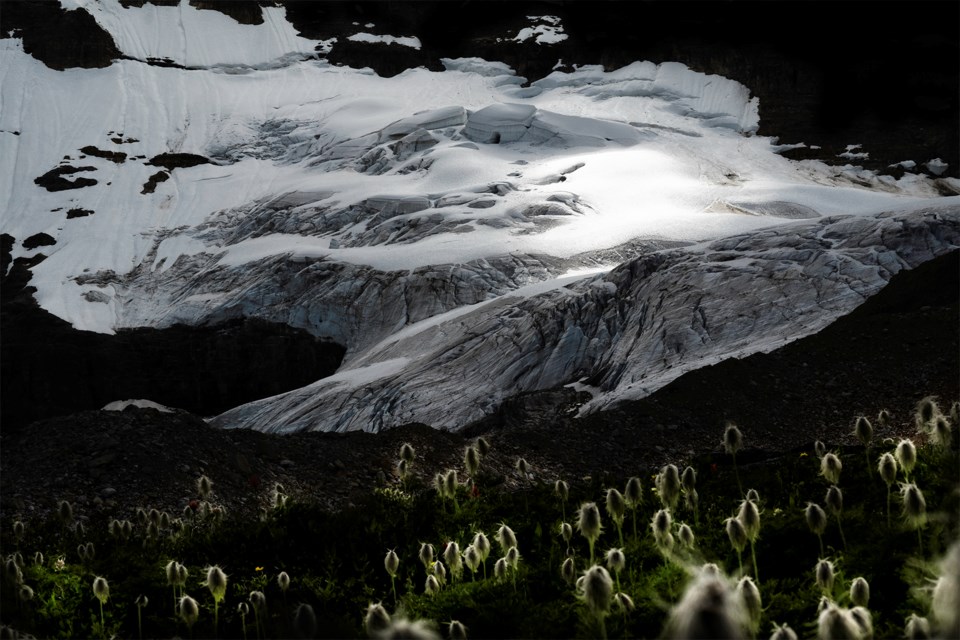 SF_Iceline_web
