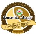 Annanda Chaga Mushrooms