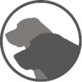 MudDogCreek