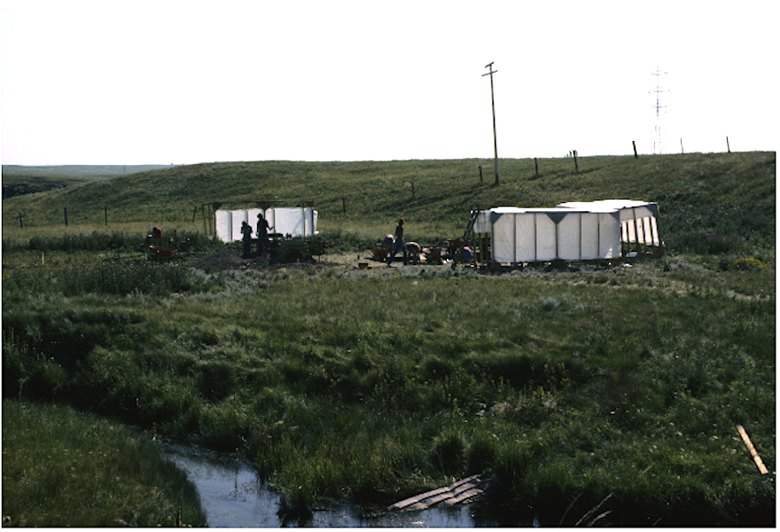 Balzac Archaeological Site dig in 1981.