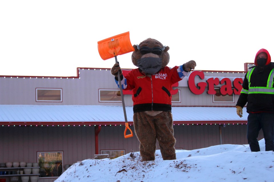 Balzac Billy gave the crowd a thumbs down on Feb. 2 to let them know how he really feels about spotting his shadow and predicting six more weeks of winter.