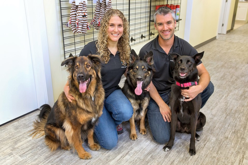 Nikki Nordick started Airdrie Puppy Pals as a Facebook community in 2014, and it has since evolved into a business offering specialized dog daycare and training services in Airdrie.