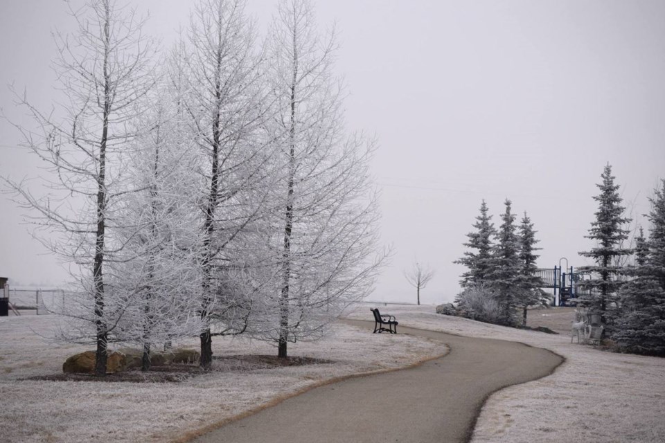 Heavy frost on trees, benches and fences in Airdrie over past two days created a real winter wonderland for local residents.