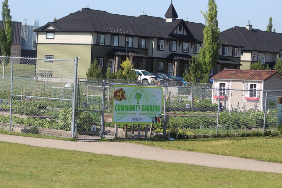 The Airdrie Horticultural Society manages the community gardens in the city, and often has a waitlist for those wishing to try out their green thumbs.