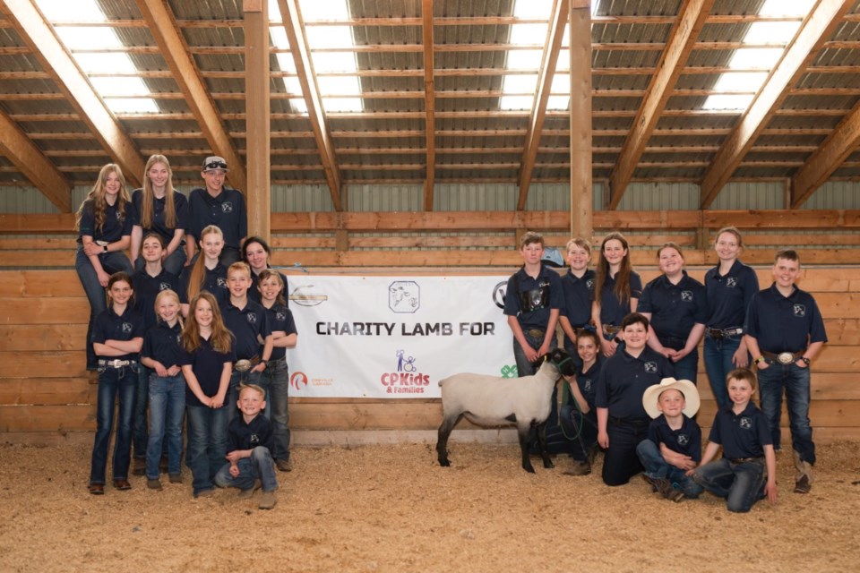 Airdrie_4H_Sheep_Charity_project