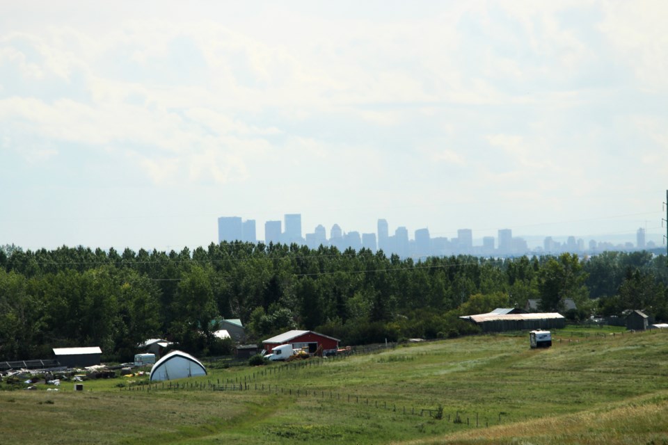 The Calgary skyline peeks over the trees, viewed atop Sharp Hill Park, south of Airdrie. 
Photo by Scott Strasser/Rocky View Publishing