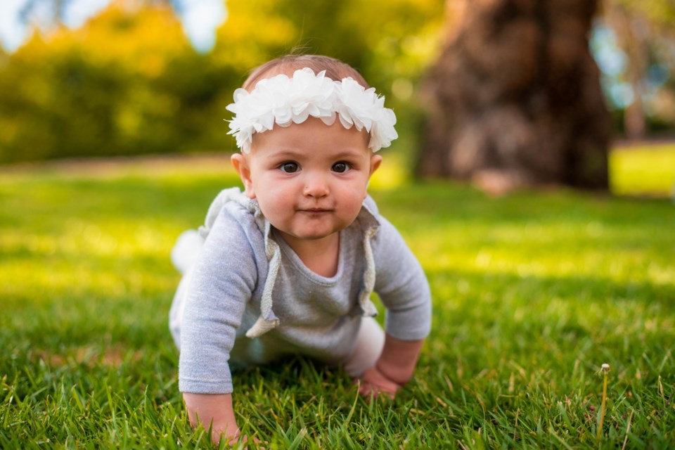 Tangled Tree Artworks and Events is giving Cochrane residents a one-stop shopping experience for everything baby Sept. 28.
Photo:Metro Creative Connection