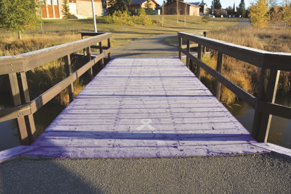 The newly-painted purple bridge deck in Nose Creek Park is covered with frost on a chilly fall morning. 