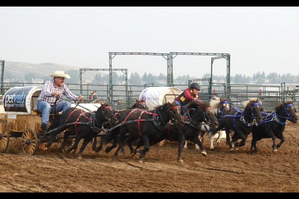 The Cochrane & District Agricultural Society is back with its seventh annual Cochrane Fair, Aug. 16 to 18. The event will feature mini-chuckwagon races, dog agility shows, motorcycle stunts, a midway and more. 
Photo Submitted/For Rocky View Publishing