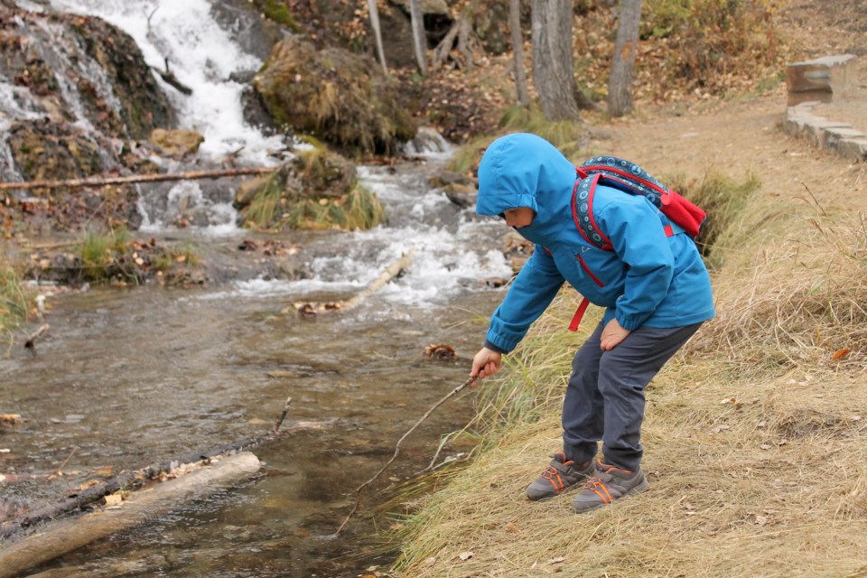 A young boy pokes a stick into the stream at Big Hill Springs Provincial Park on Oct. 11.