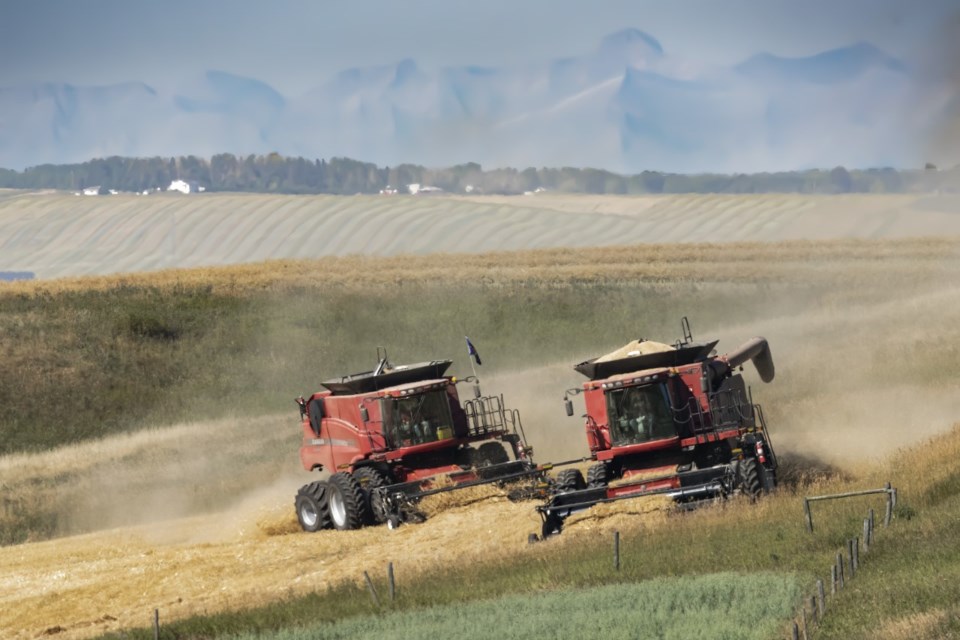 The arrival of September means farmers in Rocky View County are busy with the annual fall harvest.