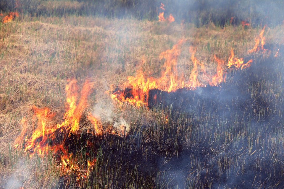 grassfire