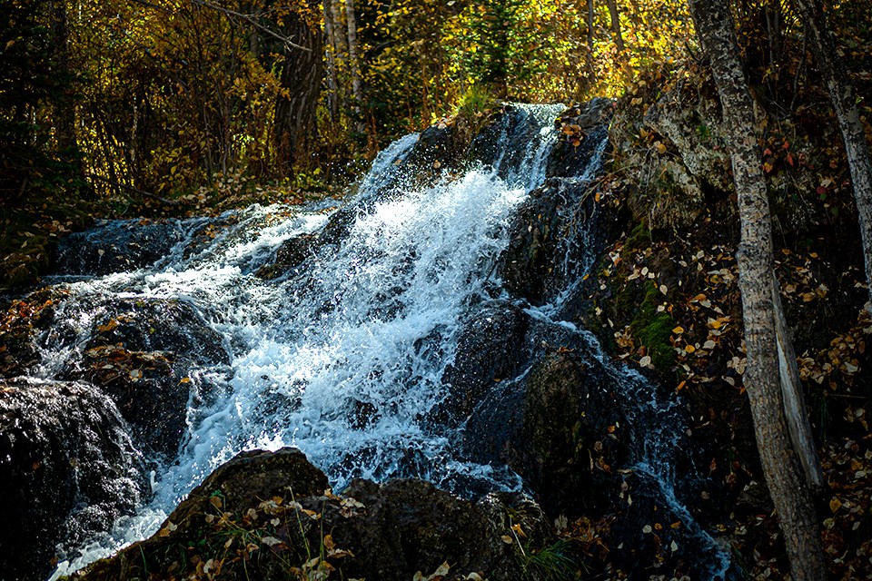 A natural view of a small waterfall at Big Spring Hills Park west Airdrie in Alberta, Canada. / By Jameel A, Wirestock
