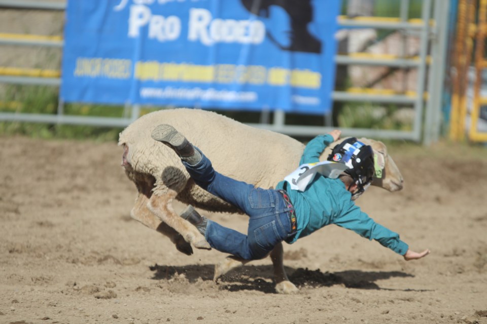 The 53rd annual Airdrie Pro Rodeo kicked off June 28 with a slate of Junior Rodeo events. A handful of young contestents did their best to stay on top of their mounts during the mutton busting event.
Photo by Ben Sherick/Rocky View Publishing
