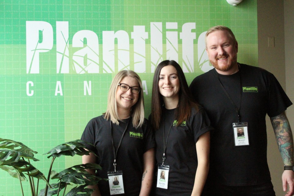 Plantlife Cannabis is the first recreational-cannabis retailer to open in Airdrie. The store welcomed its first customers July 18. 
Photo by Scott Strasser/Rocky View Publishing