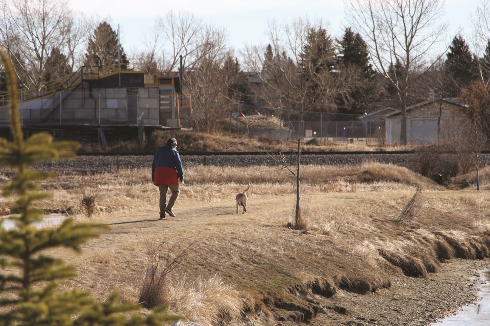 An Airdrie resident takes their dog for a morning walk near Nose Creek in Willow Brook, with Fletcher Park's BMX track in the background.