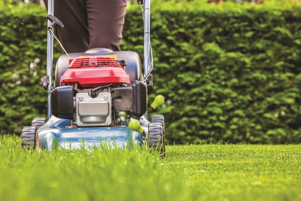 Landscaping companies are forecasting a difficult 2020 season, with a drop in clients due to the pandemic. 
Photo: Metro Creative Connection