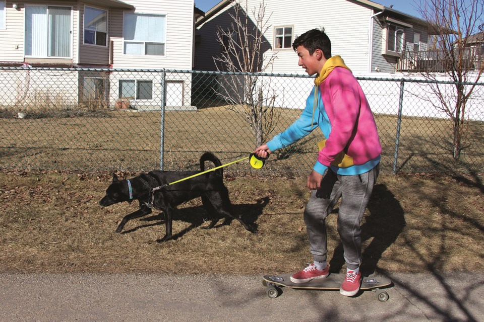 Lucas Beaudin takes his dog for a morning walk while riding his skateboard in Willow Brook. The path, adjacent to Nose Creek, is popular with dog walkers and nature lovers alike.