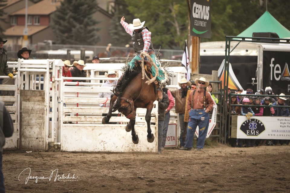 LN-rodeo-web