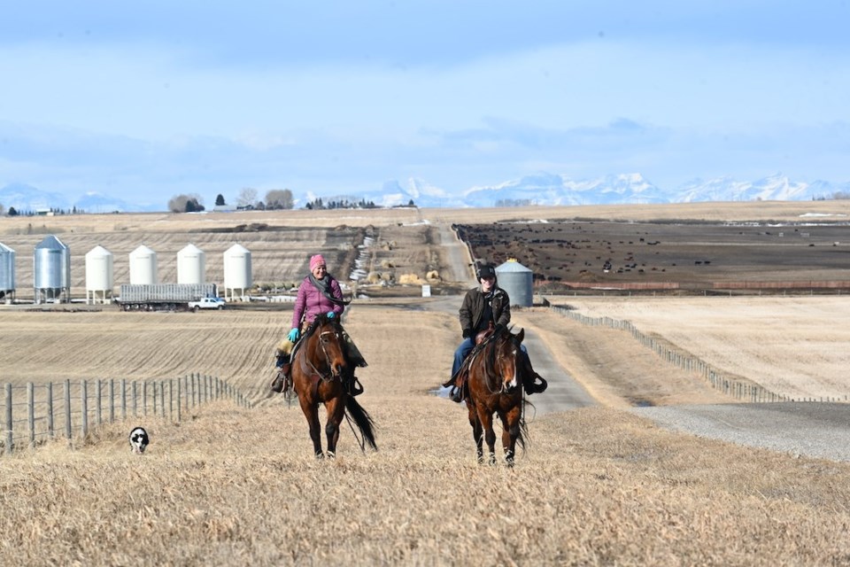 Soderglen Ranch is a sprawling, 7,000-acre ranch located between Calgary and Airdrie, in Balzac. With the recent passing of the ranch's owner Stan Grad, the land is now up for sale.