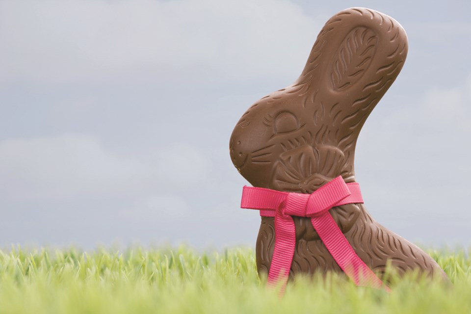 While there are scores of mass-produced chocolate bunnies available for purchase, families may want to try making their own chocolate Easter bunnies this year.