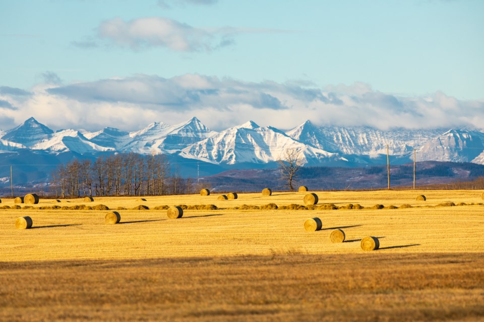 A recent government decision to rescind a coal development policy from the 1970s has resulted in opposition from multiple Airdrie municipalities. Photo by Brent Calver/Great West Media 