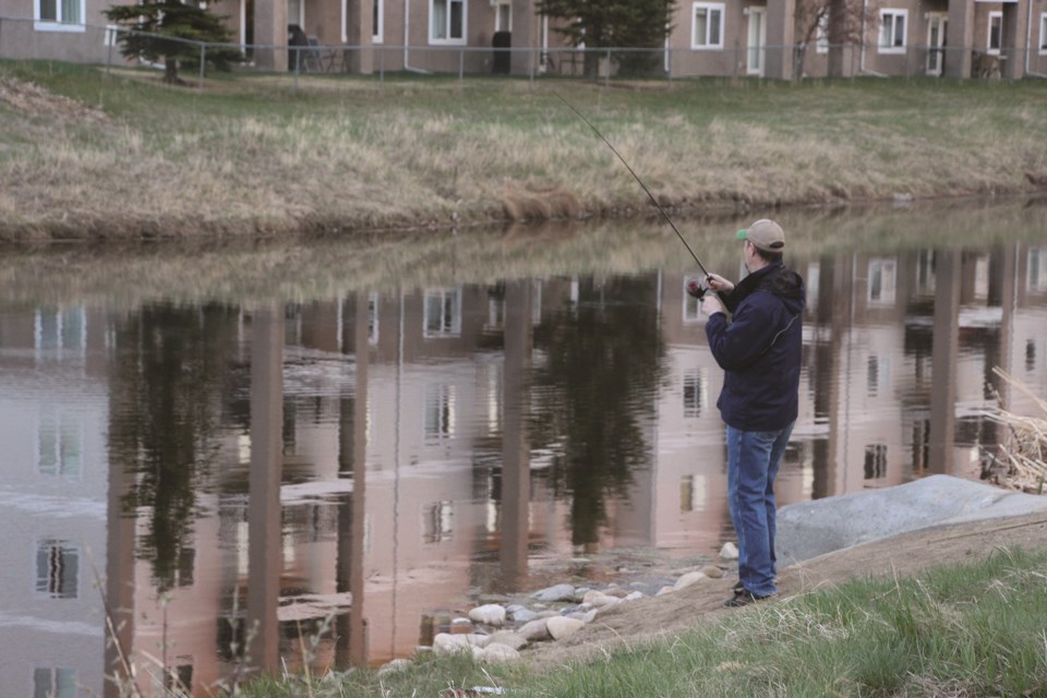 A fisherman enjoys an evening of casting his line in the still, mirror-like waters of Nose Creek on a recent Friday evening. 