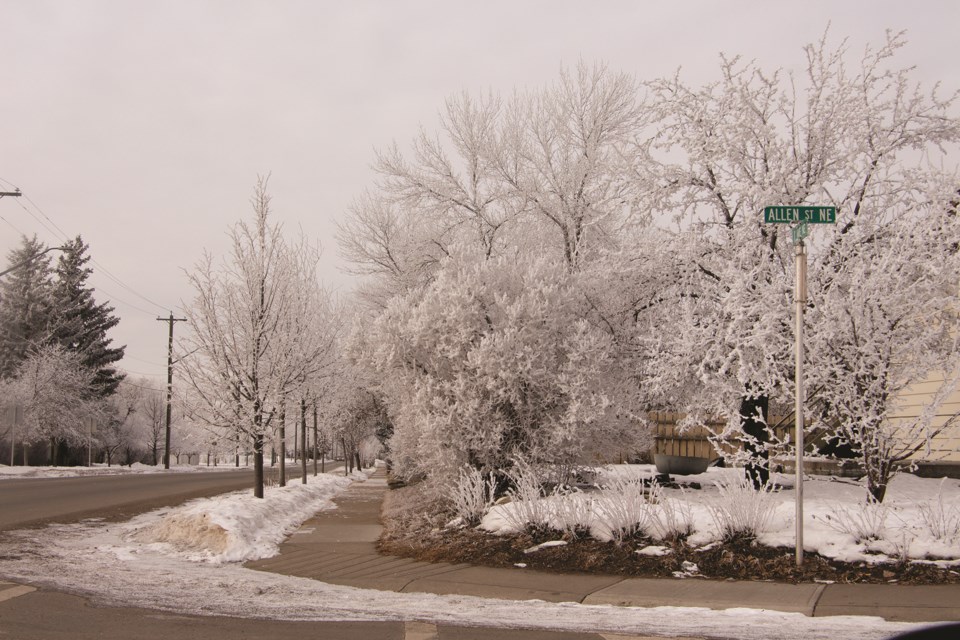 Trees that line 1 Avenue and Allen street on the west side of Airdrie sported a new coat of snow on Jan. 23. 