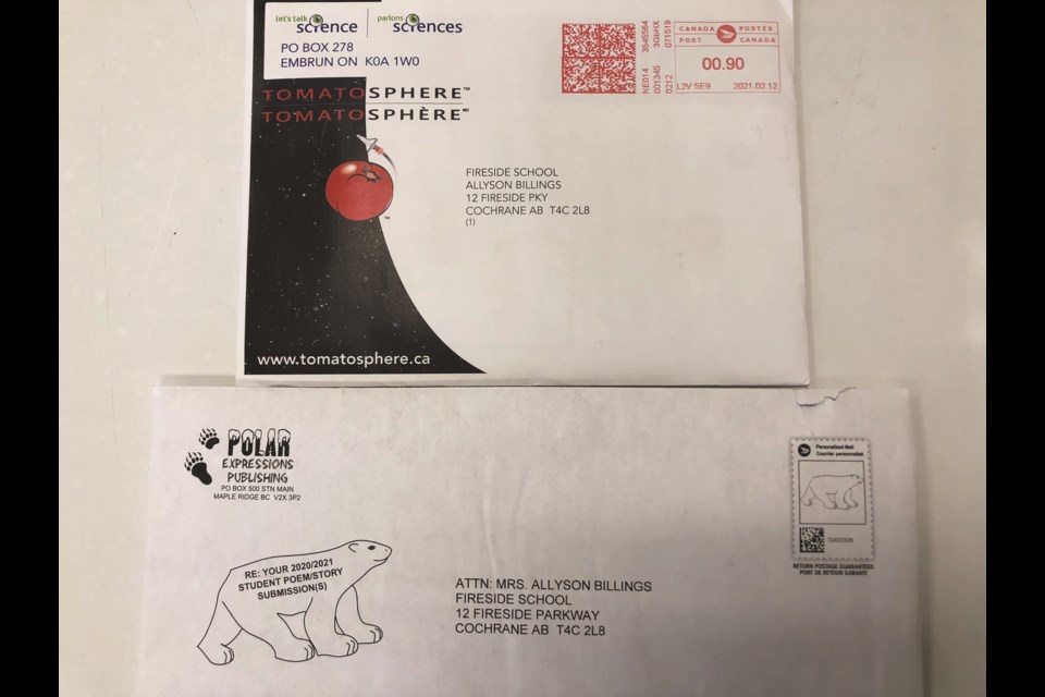 Students in Allyson Billings' Grade 3 class were excited to receive a letter from Polar Expressions Publishing announcing the winners of a national short story writing competition.