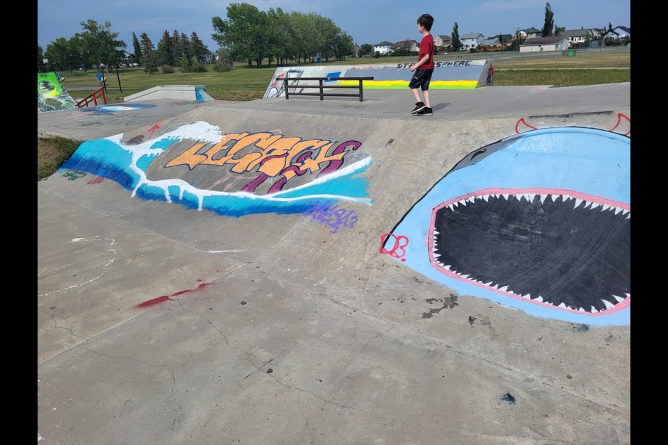 The Langdon skatepark has a colourful new facelift thanks to the efforts of local Grade 9 art students.