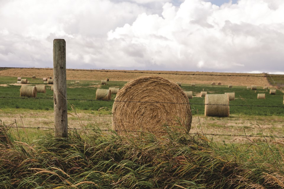 RVW_cover_web-bales