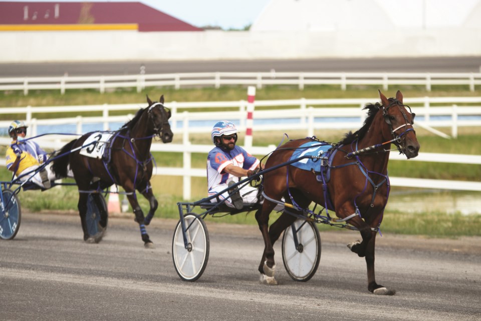 Standardbred horseracing returned to the Century Downs Racetrack in late June. The races are offered on Saturday and Tuesday afternoons. Photo by Scott Strasser/Airdrie City View.