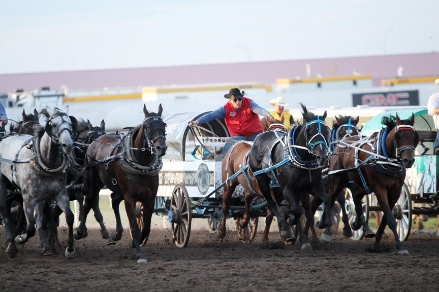 The World Professional Chuckwagon Association's championship series took place at Century Downs Racetrack and Casino, in East Balzac, Aug. 21 to 25. The event featured the top drivers from the WPCA's 2019 Pro Tour, all battling it out for more than $300,000 in total payouts.
Photo by Scott Strasser/Rocky View Publishing