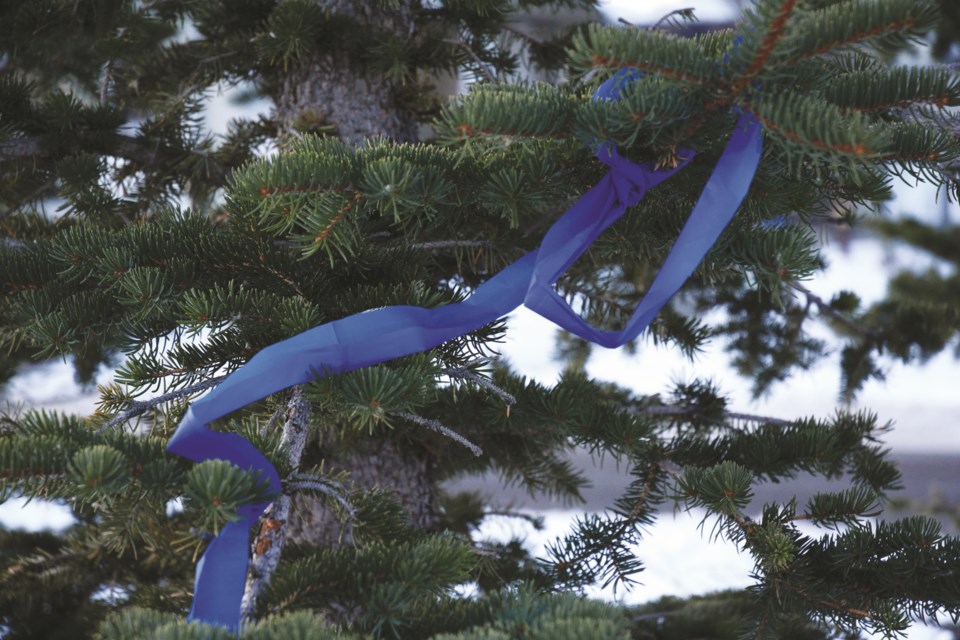 A blue ribbon and light campaign started in early January to show condolences for slain Calgary Police Services Sgt. Andrew Harnett, who was killed in the line of duty on New Year's Eve. Harnett was struck during a traffic stop. Airdronian Kath McBride spotted this ribbon in Reunion Park.