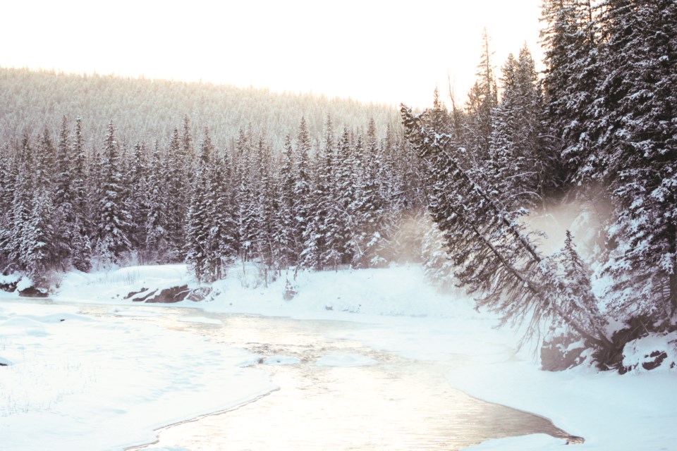 Clear blue skies and an overnight snowfall Dec. 7 made for the perfect conditions for a snowshoe in Bragg Creek the following morning. Photo by Scott Strasser/Rocky View Publishing