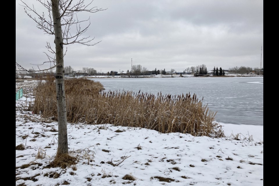 Airdrie's East Lake was looking frosty following a snowfall the night of March 24.