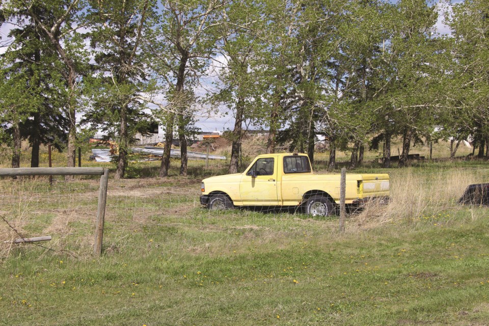 A faded yellow truck sits idle in a farmer's field off of Symons Valley Road.