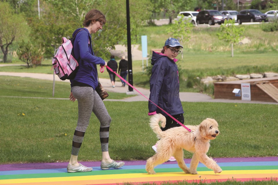 Airdrie Pride Society's rainbow pathway in Nose Creek Regional Park was recently given a fresh coat of paint.