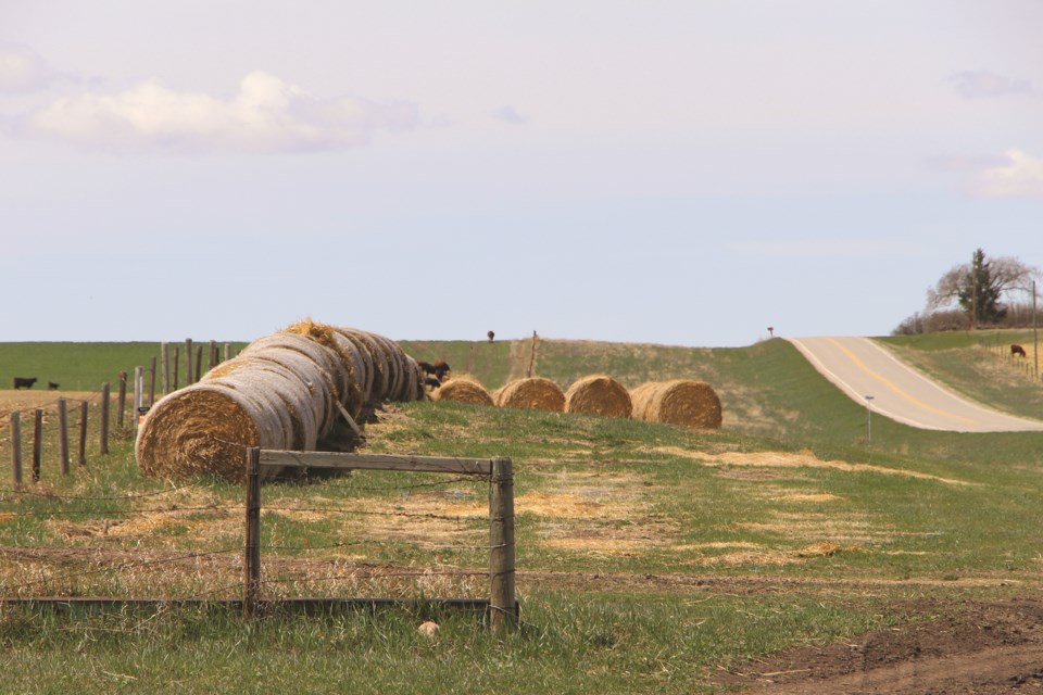 A row of hay bails line a farmer's fence off of Township Rd 270 on a recent Saturday afternoon. 