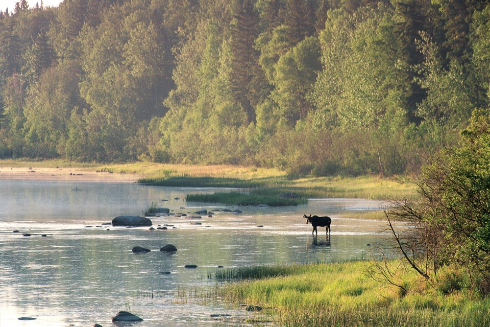 WorldWetlandsDay