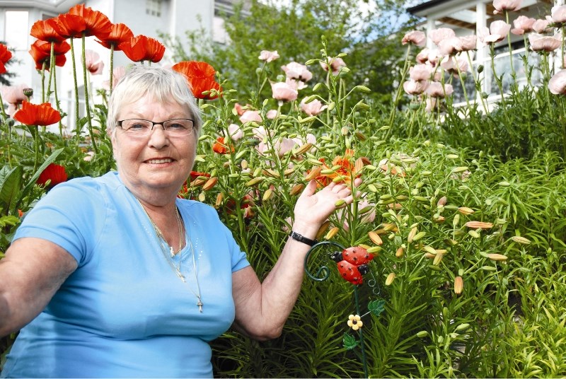 Airdrie gardener Judy Cahoon has been tracking lily beetles in her garden since 2005.