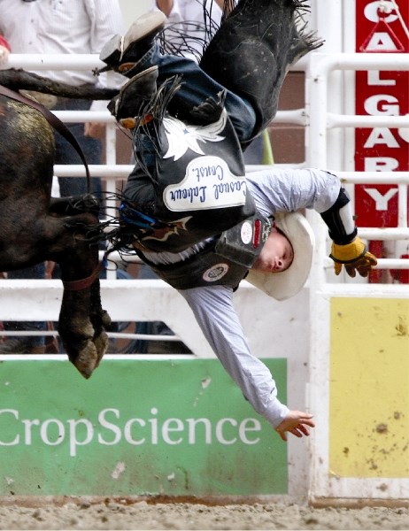Crossfield&#8217;s Kyle German is bucked off Fig Jam on Showdown Sunday, July 18 at the Calgary Stampede. See more Stampede photos on page 27.