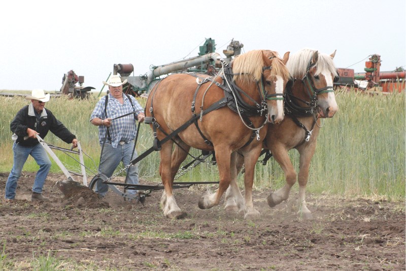 Visitors to Pioneer Acres&#8217; 41st annual Show and Reunion, Aug. 6-8, can expect to see everything from early tractors to teams of horses working in the fields.
