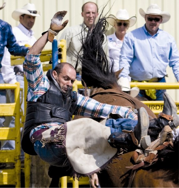 Calgary Police Rodeo bareback competitor Jose Cives gets bucked off his ride, last year at the Airdrie Rodeo Grounds.