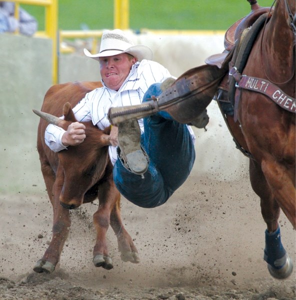 Cochrane&#8217;s Tanner Milan jumps from horse to steer during the bulldogging event, June 29 at last year&#8217;s Airdrie Pro Rodeo.