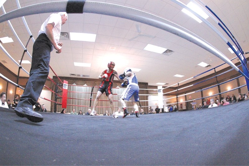The City will look into establishing a sanctioning body for all boxing, mixed martial arts and wrestling.