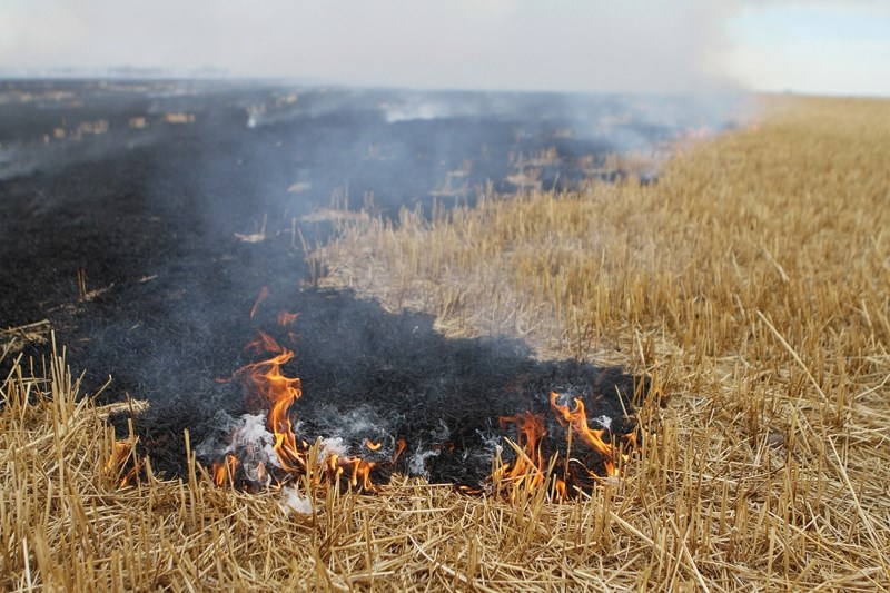 Firefighters battled two large grassfires near Airdrie, March 16. A Level 2 fire ban was declared by Rocky View County, March 13.